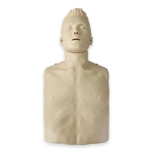 Manekenas Amoul man AM05-H